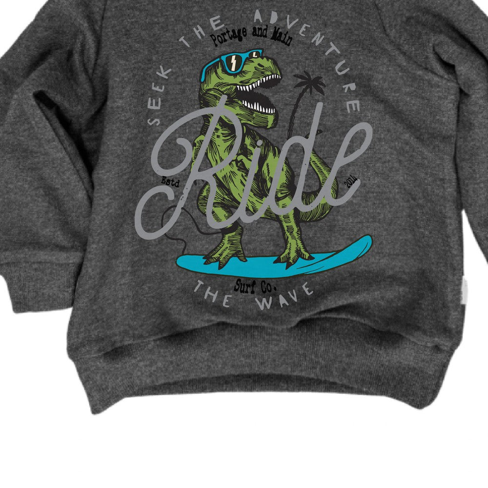 Surfing Dinosaur Hoodie Hoodie Made in Canada Bamboo Baby and Kids Clothing